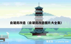 自建房改造（自建房改造图片大全集）