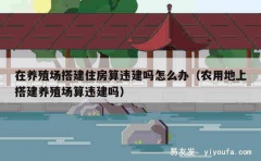 在养殖场搭建住房算违建吗怎么办（农用地上搭建养殖场算违建吗）