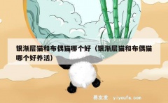 银渐层猫和布偶猫哪个好（银渐层猫和布偶猫哪个好养活）