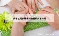 美甲过程步骤视频教程的简单介绍