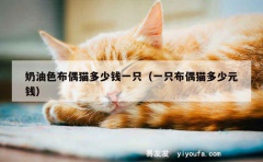 奶油色布偶猫多少钱一只（一只布偶猫多少元钱）