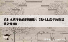 农村木房子改造翻新图片（农村木房子改造装修效果图）