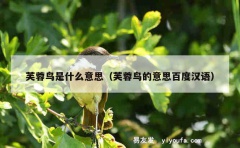 芙蓉鸟是什么意思（芙蓉鸟的意思百度汉语）