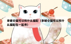 拿破仑猫可以和什么猫配（拿破仑猫可以和什么猫配在一起养）