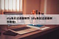 diy鱼缸过滤器制作（diy鱼缸过滤器制作教程）