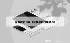 盆栽崖柏价格（盆栽崖柏价格多少）