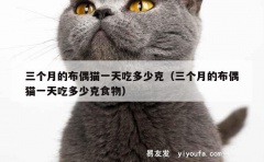 三个月的布偶猫一天吃多少克（三个月的布偶猫一天吃多少克食物）