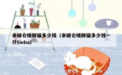 拿破仑矮脚猫多少钱（拿破仑矮脚猫多少钱一只tieba）