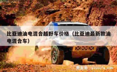 比亚迪油电混合越野车价格（比亚迪最新款油电混合车）