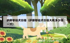 萨摩耶幼犬价格（萨摩耶幼犬价格大概多少钱一只）