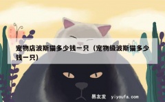 宠物店波斯猫多少钱一只（宠物级波斯猫多少钱一只）