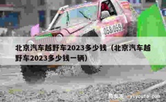 北京汽车越野车2023多少钱（北京汽车越野车2023多少钱一