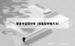 银皇帝盆栽价格（银皇后养殖方法）