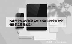 天津翔宇私立学校怎么样（天津市翔宇国际学校是私立还是公立）