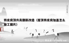 铁皮房顶升高翻新改造（屋顶铁皮房加盖怎么施工图片）