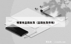 哪里有盆栽批发（盆栽批发市场）