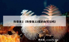 热带鱼2（热带鱼22度的水可以吗）