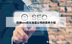 抚顺seo优化加盟公司的简单介绍