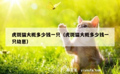 虎斑猫大概多少钱一只（虎斑猫大概多少钱一只幼崽）