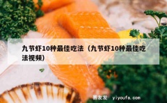 九节虾10种最佳吃法（九节虾10种最佳吃法视频）