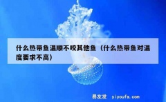 什么热带鱼温顺不咬其他鱼（什么热带鱼对温度要求不高）