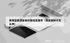 青海盆栽洒金柏价格信息推荐（洒金柏种子怎么种）