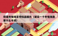 搭建养殖场宣传标语图片（建设一个养殖场需要什么手续）