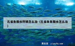 孔雀鱼腹水炸鳞怎么治（孔雀鱼鱼腹水怎么治）