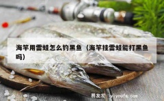 海竿用雷蛙怎么钓黑鱼（海竿挂雷蛙能打黑鱼吗）