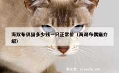 海双布偶猫多少钱一只正常价（海双布偶猫介绍）