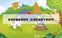 金渐层猫是英短吗（金渐层猫属于英短吗）