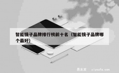 智能镜子品牌排行榜前十名（智能镜子品牌哪个最好）