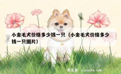 小金毛犬价格多少钱一只（小金毛犬价格多少钱一只图片）