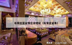 石家庄蓝鲨夜总会地址（石家庄鲨鱼）