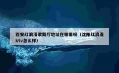 西安红浪漫歌舞厅地址在哪里呀（沈阳红浪漫ktv怎么样）