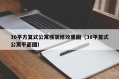 30平方复式公寓楼装修效果图（30平复式公寓平面图）