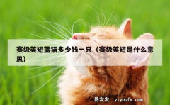 赛级英短蓝猫多少钱一只（赛级英短是什么意思）