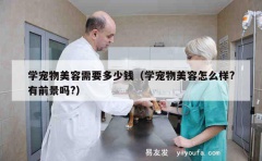 学宠物美容需要多少钱（学宠物美容怎么样?有前景吗?）