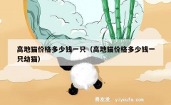 高地猫价格多少钱一只（高地猫价格多少钱一只幼猫）