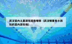 武汉室内儿童游乐园有哪些（武汉哪里有小孩玩的室内游乐场）