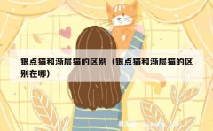 银点猫和渐层猫的区别（银点猫和渐层猫的区别在哪）