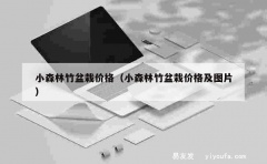 小森林竹盆栽价格（小森林竹盆栽价格及图片）