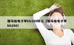 雅马哈电子琴kb180转让（雅马哈电子琴kb280）