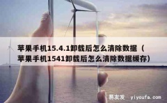 苹果手机15.4.1卸载后怎么清除数据（苹果手机1541卸载