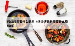 烤烧烤需要什么配料（烤烧烤配料需要什么烧烤料）