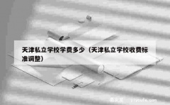 天津私立学校学费多少（天津私立学校收费标准调整）