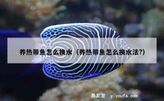 养热带鱼怎么换水（养热带鱼怎么换水法?）