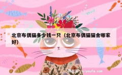 北京布偶猫多少钱一只（北京布偶猫猫舍哪家好）