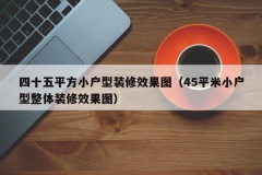 四十五平方小户型装修效果图（45平米小户型整体装修效果图）