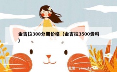 金吉拉300分期价格（金吉拉3500贵吗）